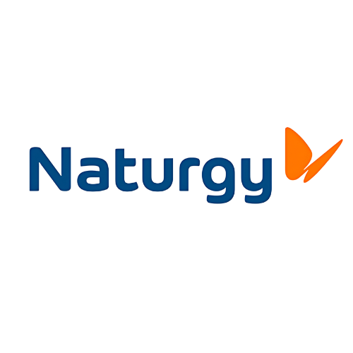 Naturgy